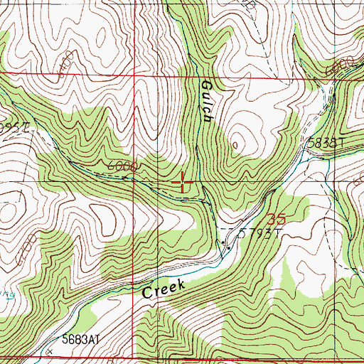 Topographic Map of Mill Gulch, MT