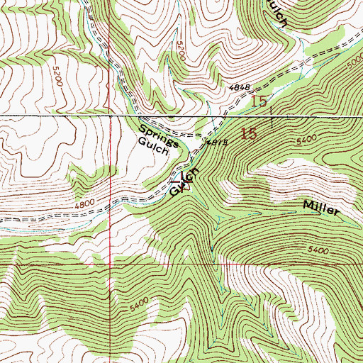 Topographic Map of Miller Gulch, MT