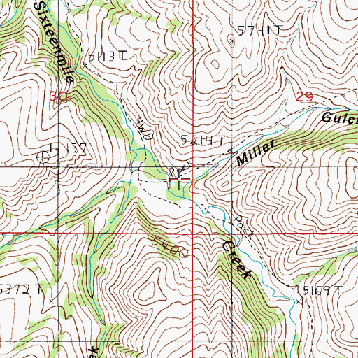 Topographic Map of Miller Gulch, MT