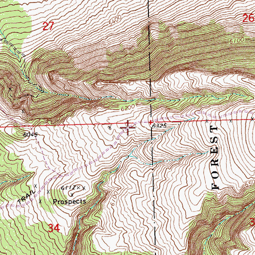 Topographic Map of Miller Trail, MT