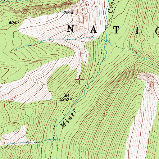 Topographic Map of Miner Creek Trail, MT