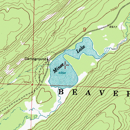 Topographic Map of Lower Miner Lakes, MT
