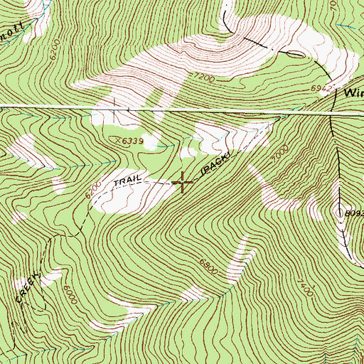 Topographic Map of Mineral Creek Trail, MT