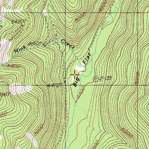 Topographic Map of Mink Creek, MT