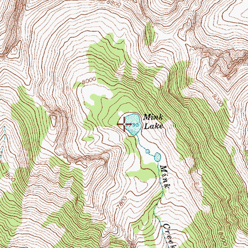 Topographic Map of Mink Lake, MT