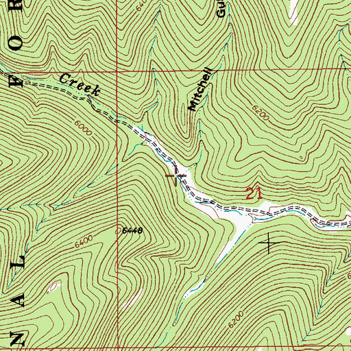 Topographic Map of Mitchell Gulch, MT