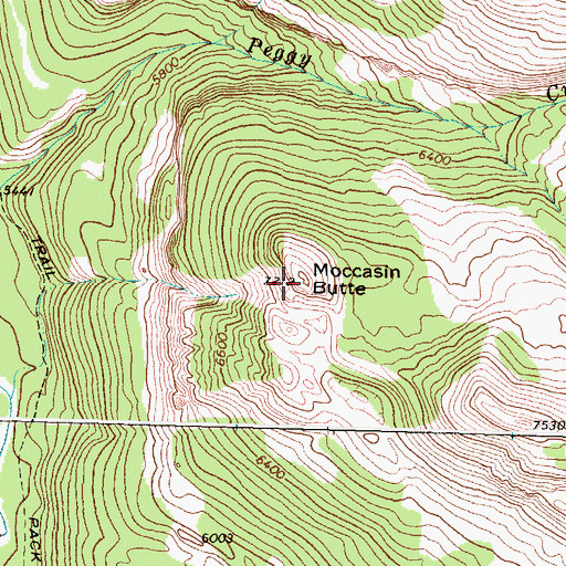 Topographic Map of Moccasin Butte, MT