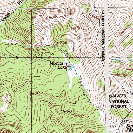 Topographic Map of Moccasin Lake, MT