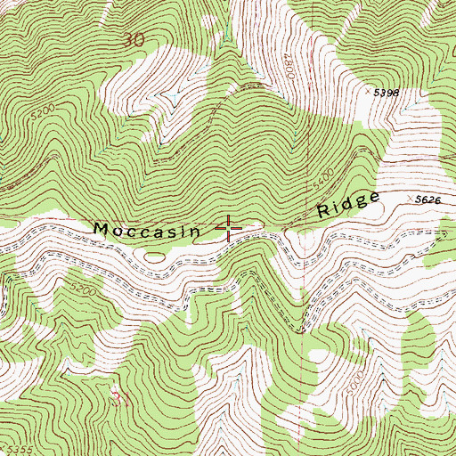 Topographic Map of Moccasin Ridge, MT