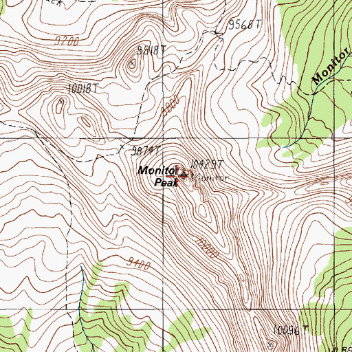 Topographic Map of Monitor Peak, MT