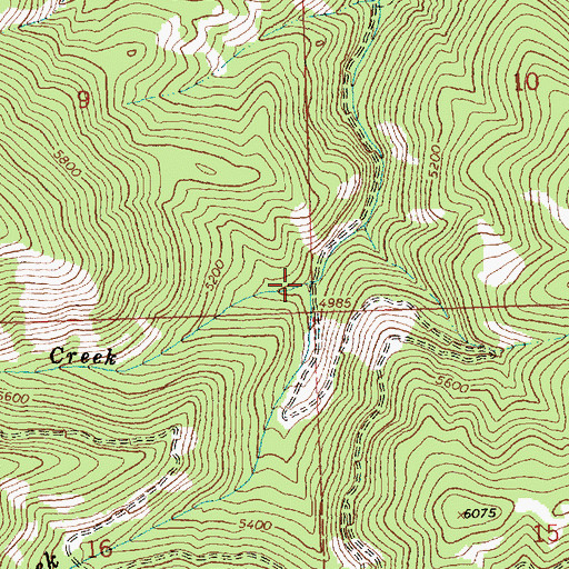 Topographic Map of Moon Creek, MT