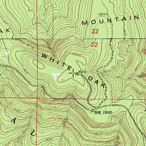 Topographic Map of White Oak Mountain, AR