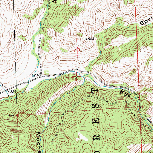 Topographic Map of Moonshine Gulch, MT