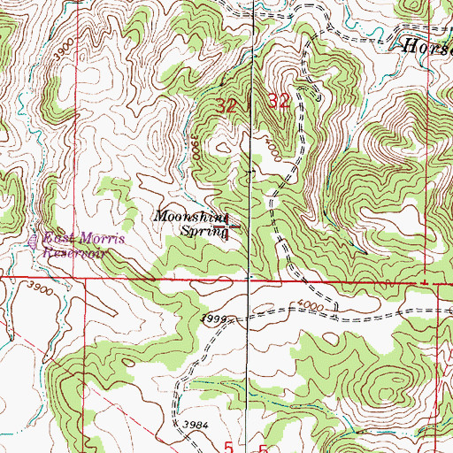 Topographic Map of Moonshine Spring, MT