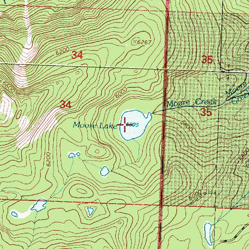 Topographic Map of Moore Lake, MT