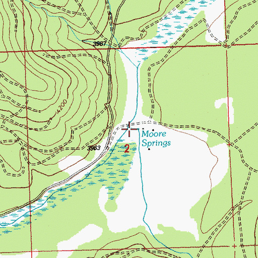 Topographic Map of Moore Springs, MT