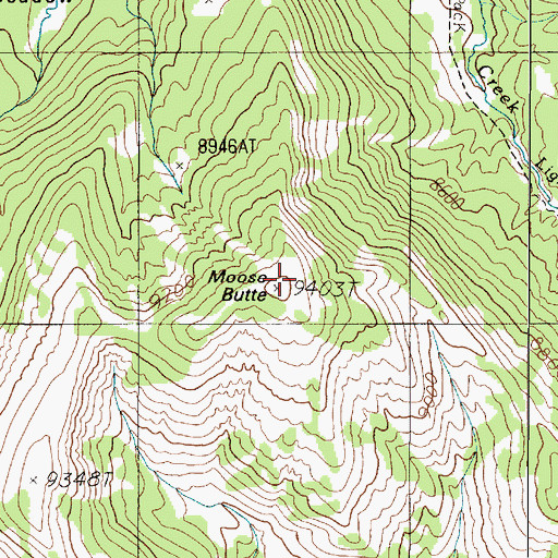 Topographic Map of Moose Butte, MT