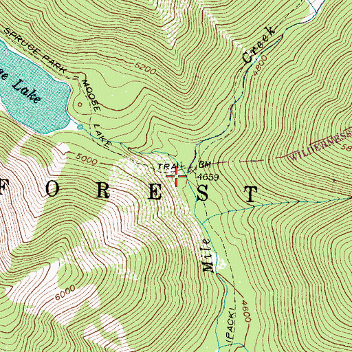 Topographic Map of Moose Creek, MT