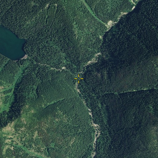 Aerial/Satellite Image of Moose Creek, MT
