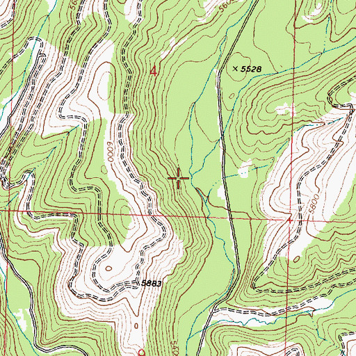 Topographic Map of Moose Creek, MT