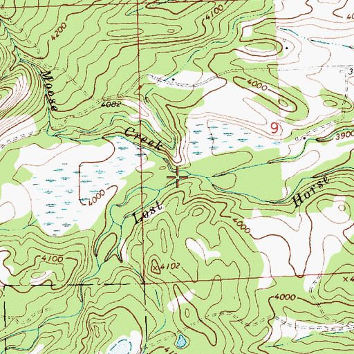 Topographic Map of Moose Creek, MT