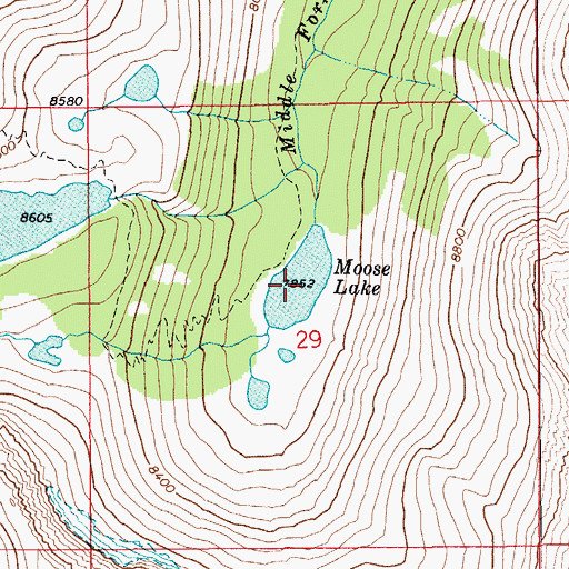 Topographic Map of Moose Lake, MT