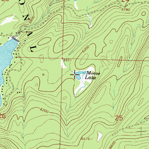 Topographic Map of Moose Lake, MT