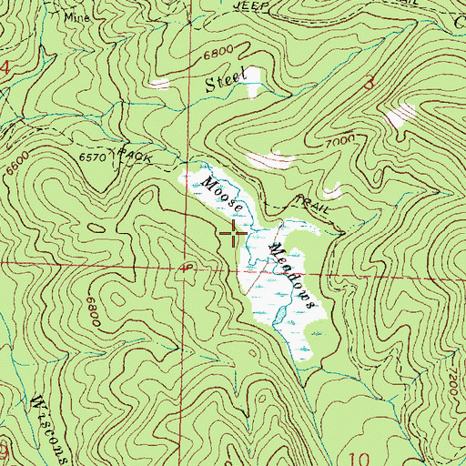 Topographic Map of Moose Meadows, MT