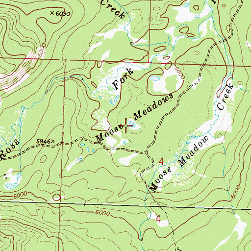 Topographic Map of Moose Meadows, MT