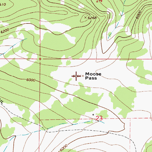 Topographic Map of Moose Pass, MT