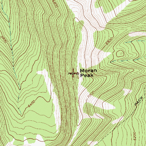 Topographic Map of Moran Peak, MT