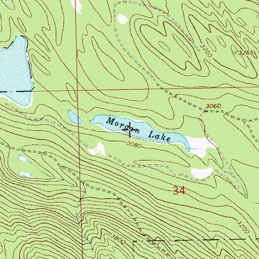 Topographic Map of Morgan Lake, MT