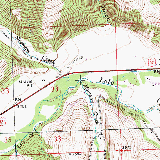 Topographic Map of Mormon Creek, MT