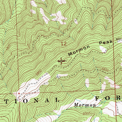 Topographic Map of Mormon Peak, MT