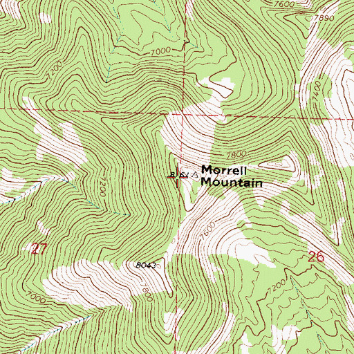 Topographic Map of Morrell Mountain, MT