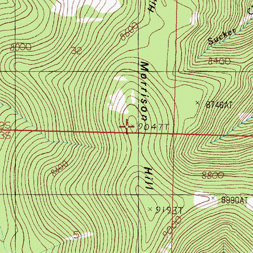 Topographic Map of Morrison Hill, MT