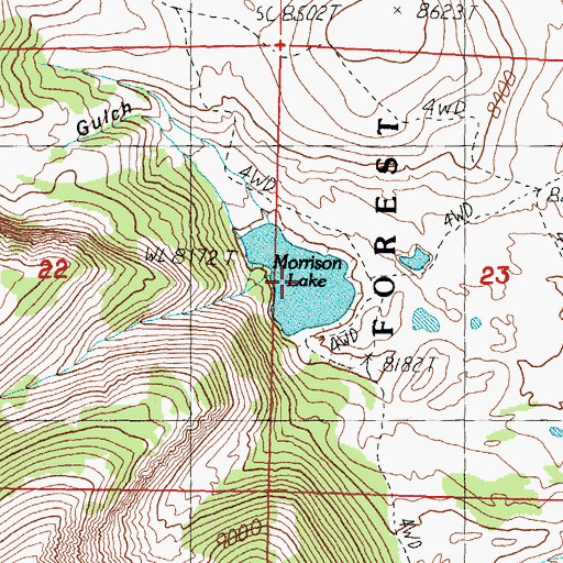Topographic Map of Morrison Lake, MT