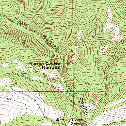 Topographic Map of Morrisy Coulee Narrows, MT