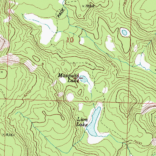 Topographic Map of Mosquito Lake, MT