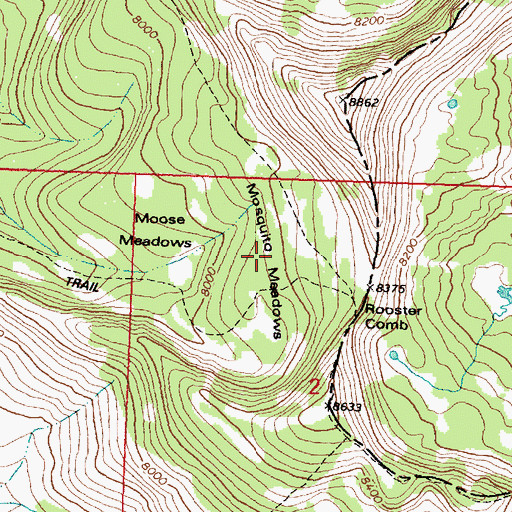 Topographic Map of Mosquito Meadows, MT