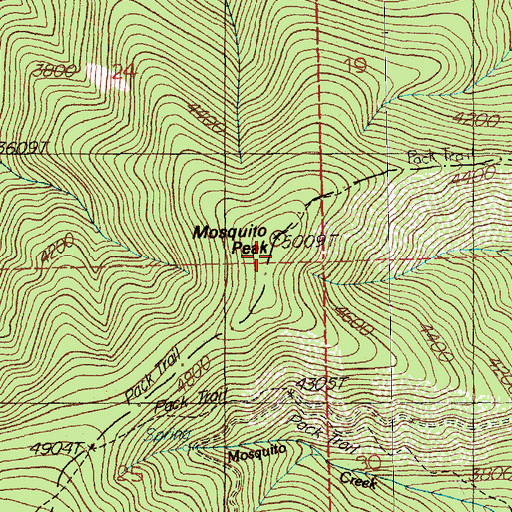 Topographic Map of Mosquito Peak, MT