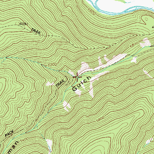 Topographic Map of Moss Gulch, MT