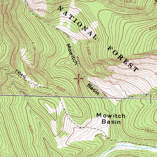 Topographic Map of Mowitch Basin, MT