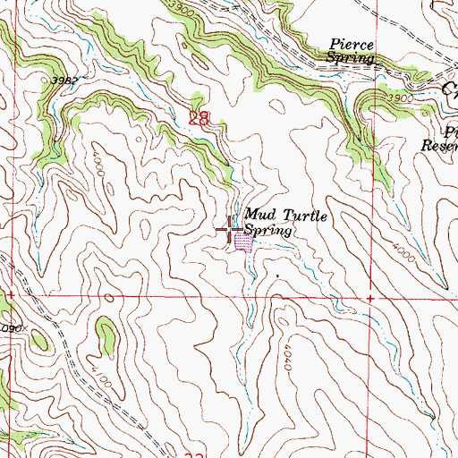 Topographic Map of Mud Turtle Spring, MT