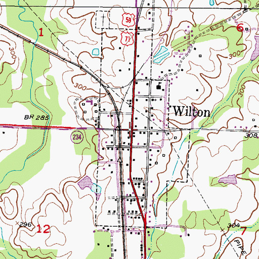 Topographic Map of Wilton, AR