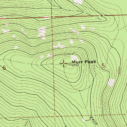 Topographic Map of Murr Peak, MT