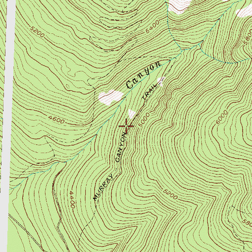 Topographic Map of Murray Canyon Trail, MT