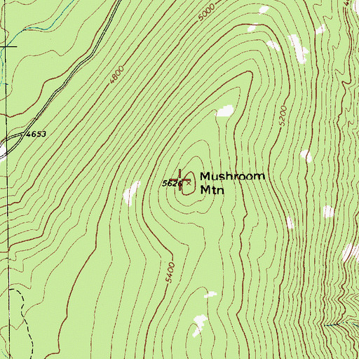 Topographic Map of Mushroom Mountain, MT