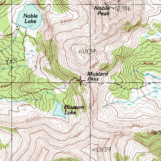 Topographic Map of Mustard Pass, MT