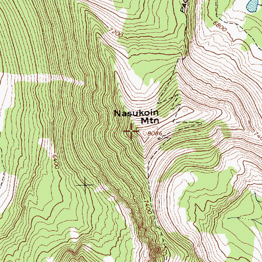Topographic Map of Nasukoin Mountain, MT
